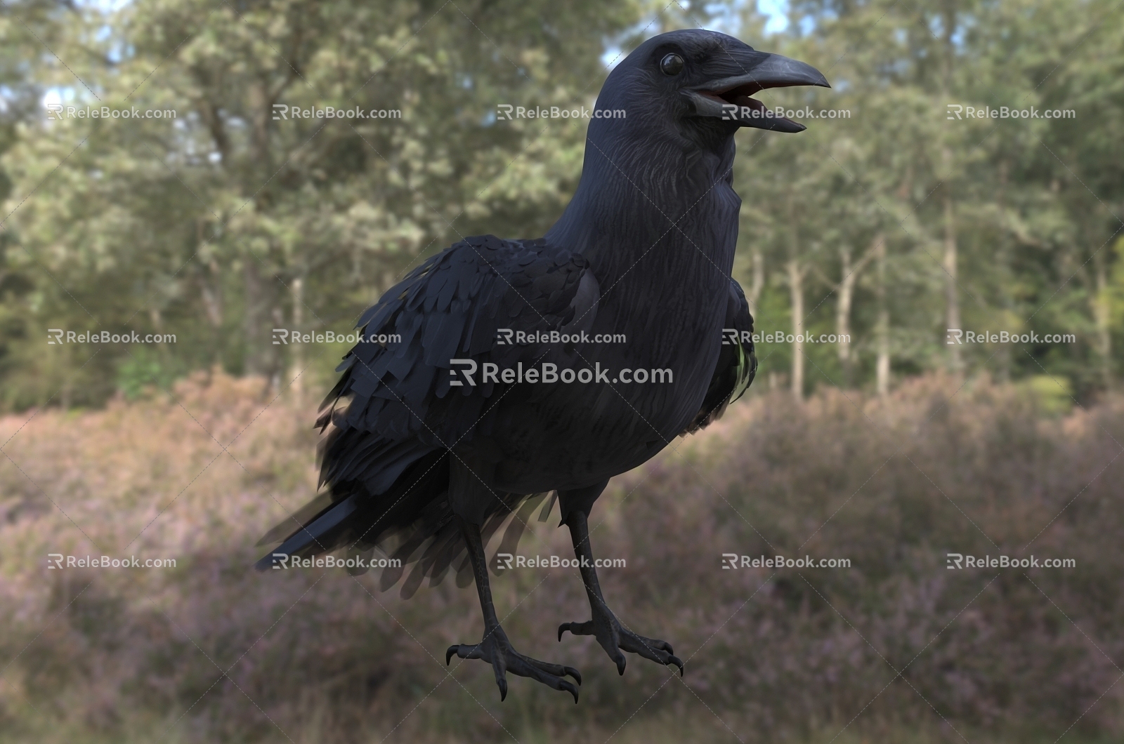 Modern American Crow Birds Animal Creatures 3d model