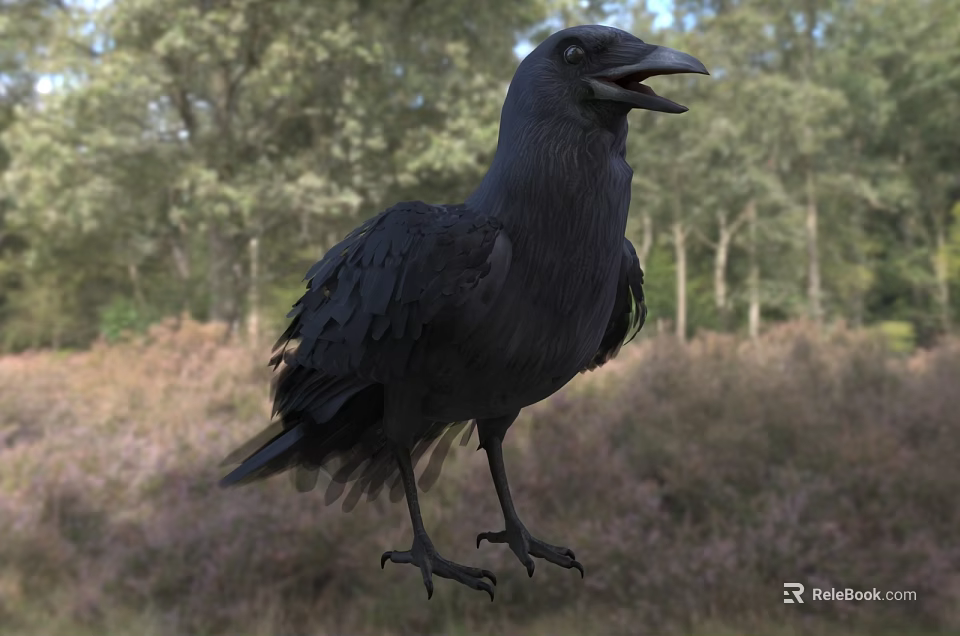 Black Crow Standing In Natural Forest With Green Grass And Trees Background 3d model 