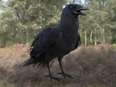 Modern American Crow Birds Animal Creatures 3d model