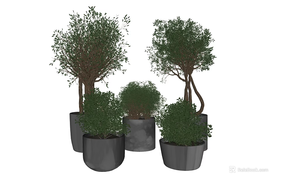 Bonsai Potted Plants in Various Sizes with Gray Pots and Green Foliage 3d model 