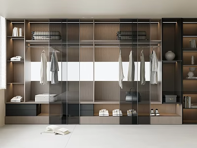 Modern Minimalist Wardrobe With Glass Doors Multiple Shelves Hanging Rods Drawers And Shoe Storage 3d model
