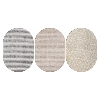 Modern Oval Carpet Shaped Carpet 3d model