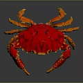 Vibrant Red Crab With Detailed Claws And Shiny Shell Isolated On Black Surface