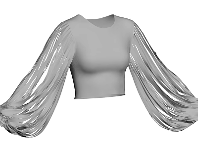 Modern Gray Crop Top with Sheer Flowy Sleeves and Stylish Fashion Design Elements 3d model