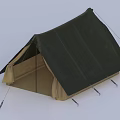 Dark Green and Beige Outdoor Camping Tent with Support Poles and Guy Ropes
