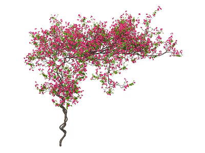 Vine with Twisted Stem and Pink Flowers and Green Leaves 3d model