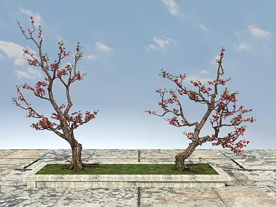 Two Arbor Trees With Pink Blossoms In Square Grassy Area On Stone Paved Ground 3d model