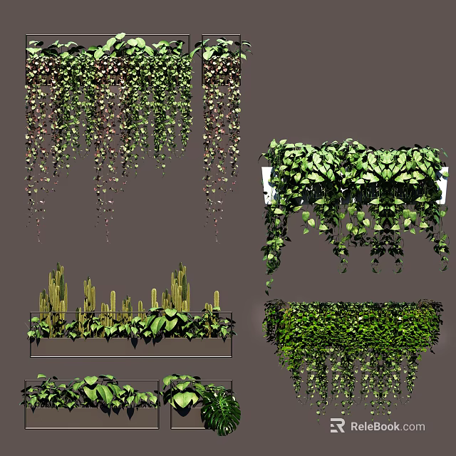 Different Types of Potted Green Plants with Hanging Succulents and Lush Foliage 3d model 