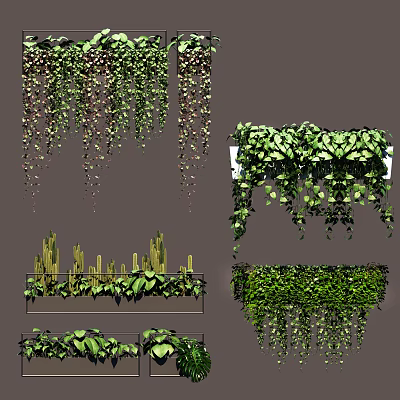 Different Types of Potted Green Plants with Hanging Succulents and Lush Foliage 3d model