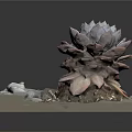Decorative Succulent Plant in Square Container with Small Stones and Gravel