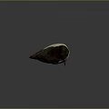 Seabird Flying Animal With Dark Head Brown Back And White Belly Standing On Gray Background