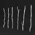 Six Slender White Textured Tree Branches Arranged Vertically On Black Background 3d model