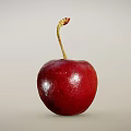Cherry Scan Cherry Fruit 3d model