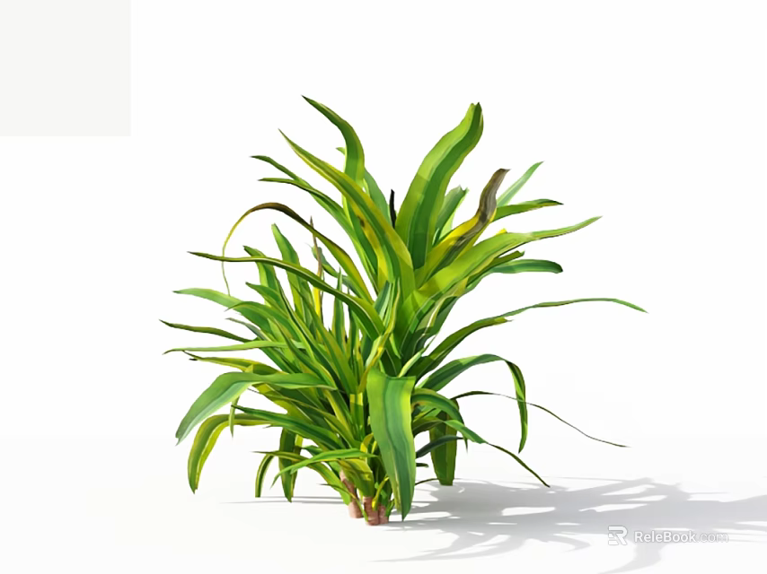 Lush Green Plant with Yellow and Green Striped Leaves Against White Background 3d model 