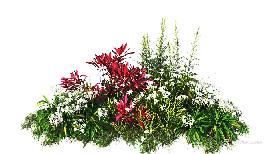 Vibrant Red Leaves White Flowers and Green Plants with Delicate Blooms and Long Stems 3d model 