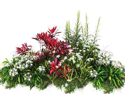 Vibrant Red Leaves White Flowers and Green Plants with Delicate Blooms and Long Stems 3d model