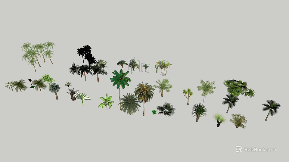 Diverse Arbor Tree Collection With Various Species Including Palm and Broadleaf 3d model 