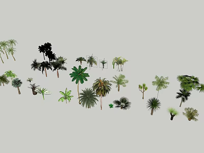 Diverse Arbor Tree Collection With Various Species Including Palm and Broadleaf 3d model