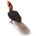Vibrant Flying Bird With Large Red Beak And Black Yellow Feathers Standing