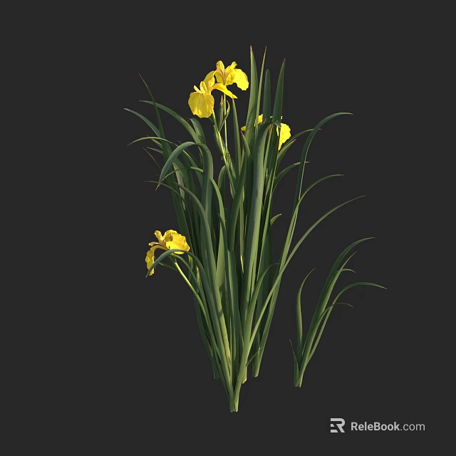 Aquatic Plants With Vibrant Yellow Flowers And Long Green Leaves Stems 3d model 