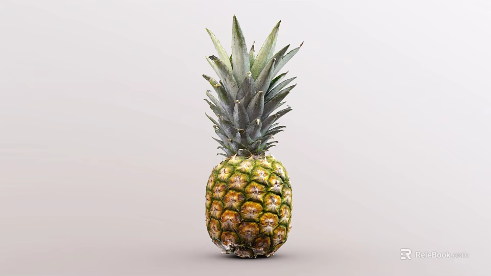 Fresh Ripe Pineapple with Green Leafy Top and Yellow Brown Textured Skin 3d model 
