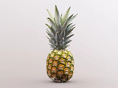 Fresh Ripe Pineapple with Green Leafy Top and Yellow Brown Textured Skin 3d model