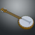Traditional Banjo Musical Instrument With Wooden Neck White Head And Strings