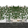 Lush Green Flowering Vines Covered Wall In Outdoor Patio With Wooden Table And Chairs
