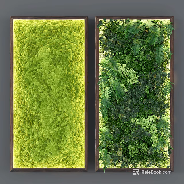 Indoor Green Plant Wall Design With Various Ferns And Decorative Moss 3d model 