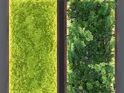 Indoor Green Plant Wall Design With Various Ferns And Decorative Moss 3d model