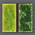 Indoor Green Plant Wall Design With Various Ferns And Decorative Moss