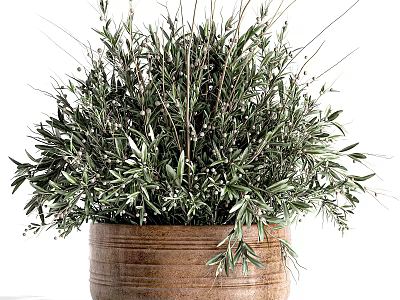 bonsai green plant flowerpot bouquet green plant 3d model