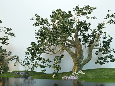 Tall Trees With Thick Trunks And Lush Green Leaves By Water Area With Grass And Stones 3d model