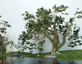 Tree Maple Big Tree Big Tree Big Leaf Maple 3d model