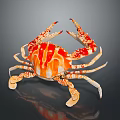 Vibrant Orange And White Patterned Crab With Large Claws On Reflective Surface 3d model