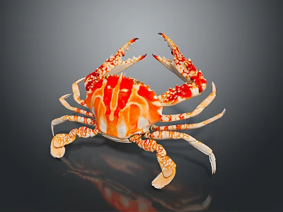 Cross Crab Crab Crab Crustaceans Marine Life Museum Specimen Aquatic Fish Freshwater Fish Sea Fish Animal Game Animal Cartoon Animal 3d model