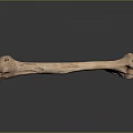Terracotta Long Shaped Garden Ornament with Textured Surface and Holes on Dark Reflective Background