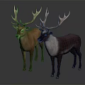 Two Deer with Large Antlers Different Color Variations Standing Together on Gray Background 3d model