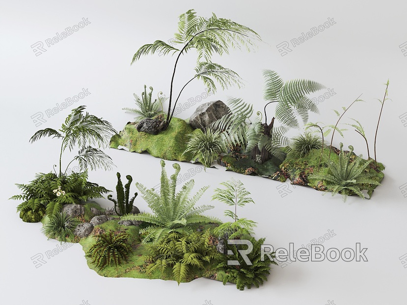 Pteridophyte Combination Pot model