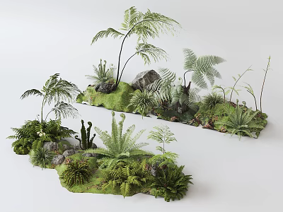 Bonsai and Potted Plants Decorative Scene With Ferns Palm Succulents Stones And Natural Moss 3d model