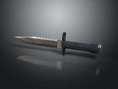 Tactical Military Dagger With Sharp Serrated Blade And Black Handle Grip 3d model