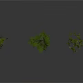 Three Green Plants Featuring Hanging Vines And Small Tree With Reflective White Surface 3d model