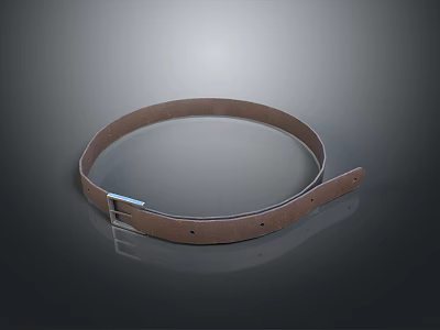 Stylish Brown Leather Belt Daily Necessity With Durable Metal Buckle For Daily Use 3d model