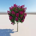 Beautiful Arbor with Lush Green Leaves and Vibrant Pink Flowers Brown Trunk in Open Space