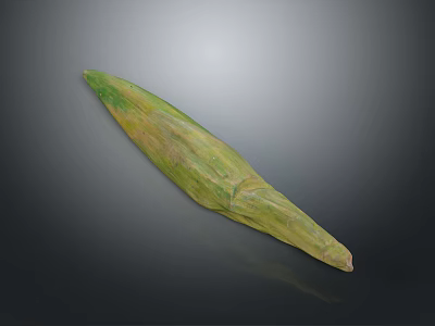 Fresh Green And Yellow Corn Cob With Husk As Tasty Healthy Food 3d model