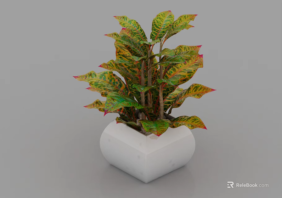 Bonsai Potted Plant with Colorful Variegated Green Yellow Red Leaves in White Square Pot 3d model 