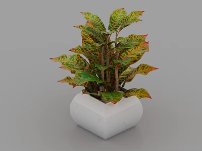 Bonsai Potted Plant with Colorful Variegated Green Yellow Red Leaves in White Square Pot 3d model