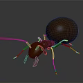 Detailed 3D Rendered Ant With Large Round Abdomen On Smooth Dark Surface With Reflection