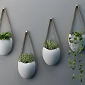 Set Of White Hanging Planters Holding Different Green Plants As Wall Decor