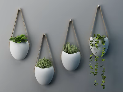 Set Of White Hanging Planters Holding Different Green Plants As Wall Decor 3d model